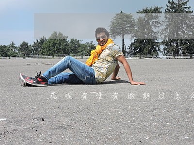 花呗有没有逾期过怎么查询 花呗有没有逾期过怎么查询