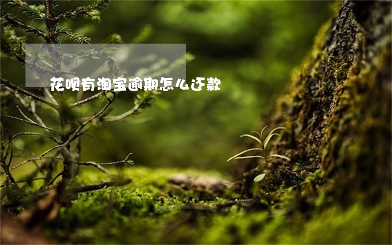 花呗有淘宝逾期怎么还款 花呗有淘宝逾期怎么还款