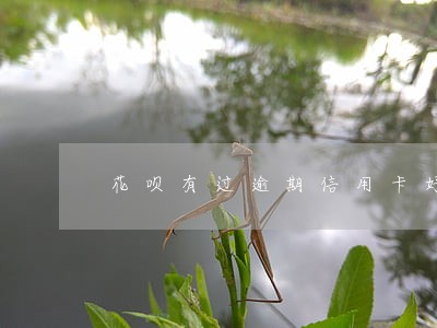 花呗有过逾期信用卡好办吗 花呗有过逾期信用卡好办吗