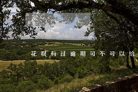 花呗有过逾期可不可以给别人担保 花呗有过逾期可不可以给别人担保