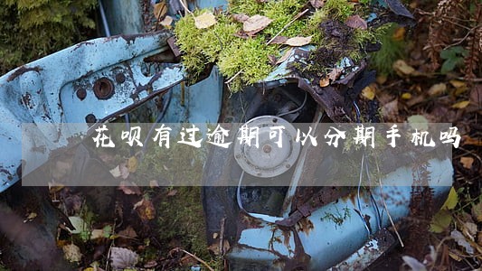 花呗有过逾期可以分期手机吗 花呗有过逾期可以分期手机吗