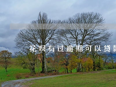 花呗有过逾期可以贷款买车吗