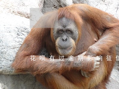 花呗有过逾期影响征信不 花呗有过逾期影响征信不