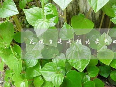 花呗有过逾期记录影响入伍吗 花呗有过逾期记录影响入伍吗