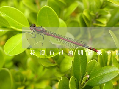 花呗有过逾期记录还能不网贷 花呗有过逾期记录还能不网贷