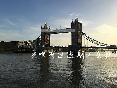 花呗有过逾期还会提额度么 花呗有过逾期还会提额度么