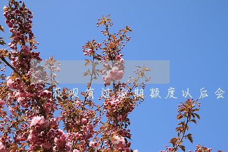 花呗有过逾期额度以后会涨吗 花呗有过逾期额度以后会涨吗