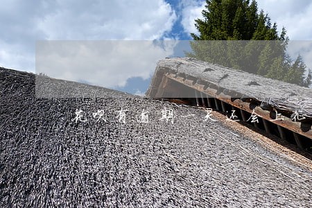 花呗有逾期一天还会上征信吗 花呗有逾期一天还会上征信吗