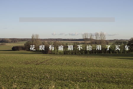 花呗有逾期不给用了买车有影响吗