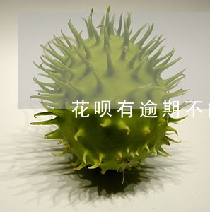 花呗有逾期不能借钱嘛 花呗有逾期不能借钱嘛