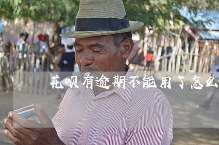 花呗有逾期不能用了怎么恢复 花呗有逾期不能用了怎么恢复