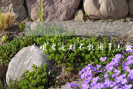 花呗有逾期不能用了怎么解决 花呗有逾期不能用了怎么解决
