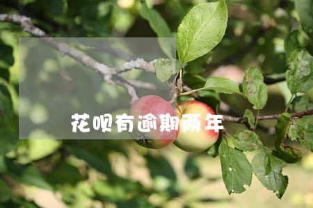 花呗有逾期两年 花呗有逾期两年