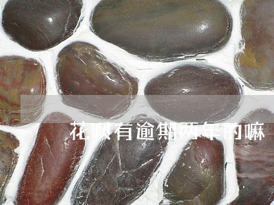 花呗有逾期两年的嘛 花呗有逾期两年的嘛