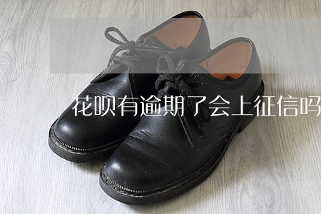 花呗有逾期了会上征信吗 花呗有逾期了会上征信吗