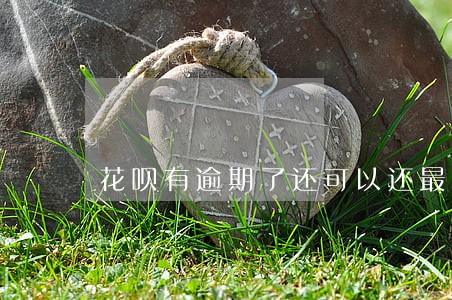 花呗有逾期了还可以还最低消费吗 花呗有逾期了还可以还最低消费吗