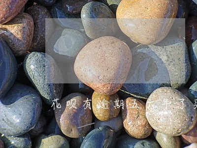 花呗有逾期五六年了买房有影响吗 花呗有逾期五六年了买房有影响吗