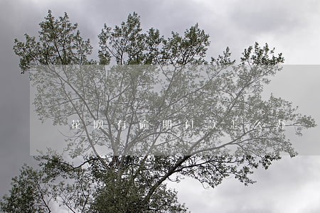 花呗有逾期付款怎么办 花呗有逾期付款怎么办