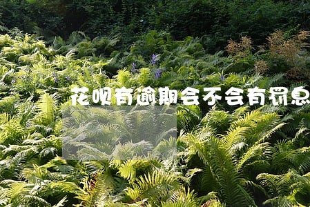 花呗有逾期会不会有罚息 花呗有逾期会不会有罚息