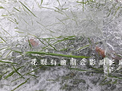 花呗有逾期会影响芝麻信用吗 花呗有逾期会影响芝麻信用吗