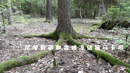 花呗有逾期会被冻结银行卡吗 花呗有逾期会被冻结银行卡吗