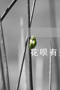 花呗有逾期会走法律吗程序 花呗有逾期会走法律吗程序