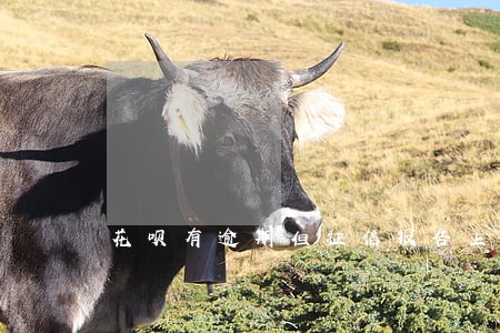 花呗有逾期但征信报告上没有记录 花呗有逾期但征信报告上没有记录
