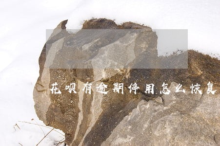 花呗有逾期停用怎么恢复 花呗有逾期停用怎么恢复