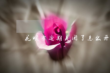 花呗有逾期关闭了怎么开通 花呗有逾期关闭了怎么开通