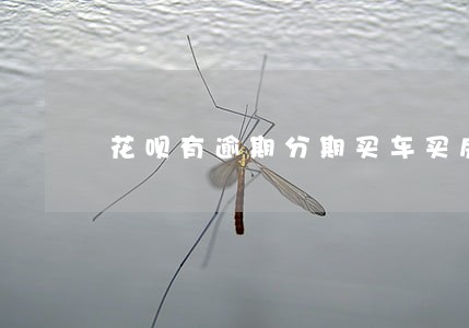 花呗有逾期分期买车买房 花呗有逾期分期买车买房