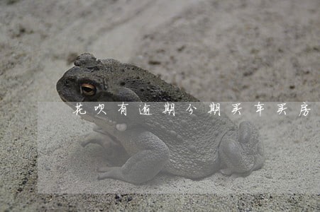 花呗有逾期分期买车买房图片 花呗有逾期分期买车买房图片