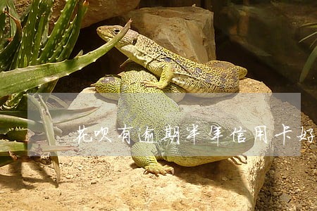 花呗有逾期半年信用卡好下吗 花呗有逾期半年信用卡好下吗