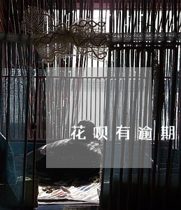 花呗有逾期半年的吗 花呗有逾期半年的吗