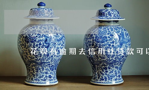 花呗有逾期去信用社贷款可以吗 花呗有逾期去信用社贷款可以吗