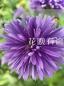 花呗有逾期可不可以贷款