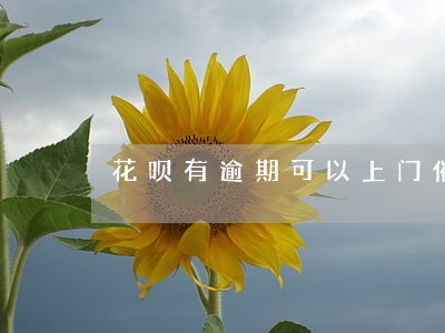 花呗有逾期可以上门催收吗 花呗有逾期可以上门催收吗