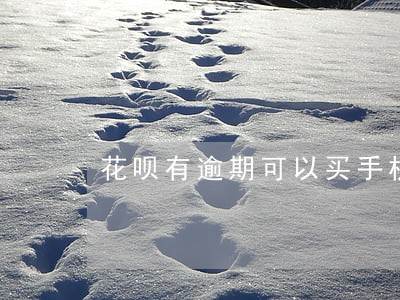 花呗有逾期可以买手机吗 花呗有逾期可以买手机吗