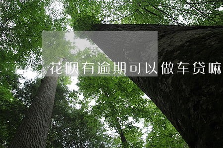 花呗有逾期可以做车贷嘛 花呗有逾期可以做车贷嘛