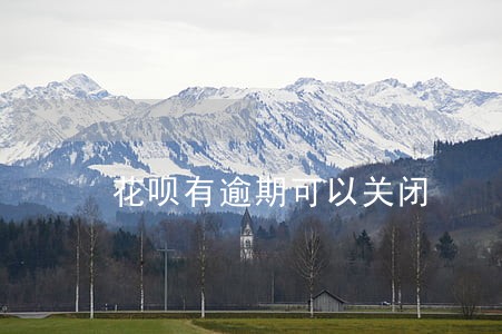 花呗有逾期可以关闭 花呗有逾期可以关闭