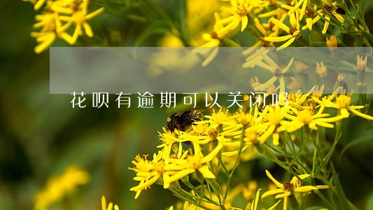 花呗有逾期可以关闭吗 花呗有逾期可以关闭吗