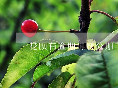 花呗有逾期可以分期手机吗 花呗有逾期可以分期手机吗