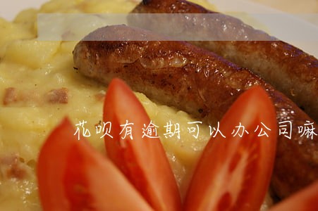 花呗有逾期可以办公司嘛 花呗有逾期可以办公司嘛