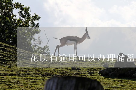花呗有逾期可以办理储蓄卡嘛 花呗有逾期可以办理储蓄卡嘛