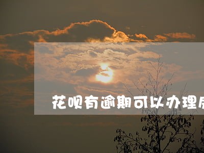 花呗有逾期可以办理房贷吗 花呗有逾期可以办理房贷吗