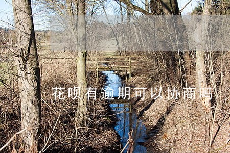 花呗有逾期可以协商吗 花呗有逾期可以协商吗