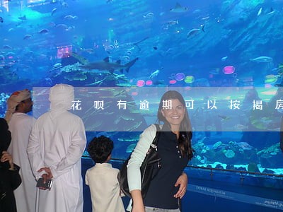 花呗有逾期可以按揭房子吗 花呗有逾期可以按揭房子吗