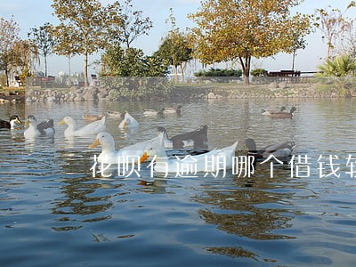 花呗有逾期哪个借钱软件能借
