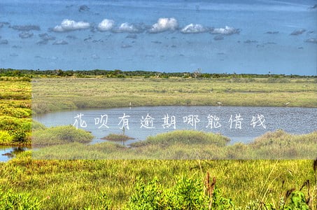 花呗有逾期哪能借钱 花呗有逾期哪能借钱