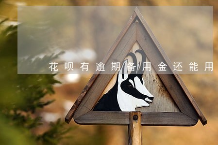 花呗有逾期备用金还能用么 花呗有逾期备用金还能用么