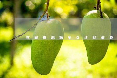 花呗有逾期多久才能恢复使用 花呗有逾期多久才能恢复使用